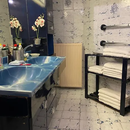 Houseboat By The Mill With Jacuzzi And Sauna * Amsterdam